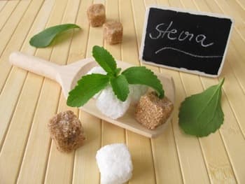 stevia powder extract for various use